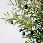 Villa Marcia - Nature, Golf, Beaches-lagos Portimão