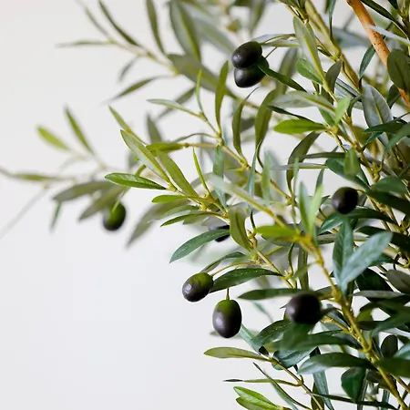 Villa Marcia - Nature, Golf, Beaches-lagos Portimão