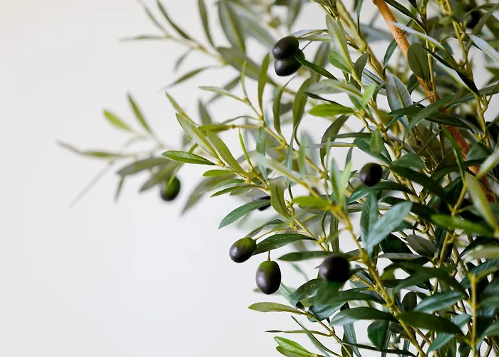 Villa Marcia - Nature, Golf, Beaches-lagos Portimao